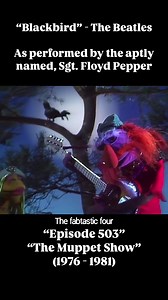 51K views · 1.3K reactions | Blackbird en el show de los Muppets 﫶 | "The Fabtastic Four" | Facebook