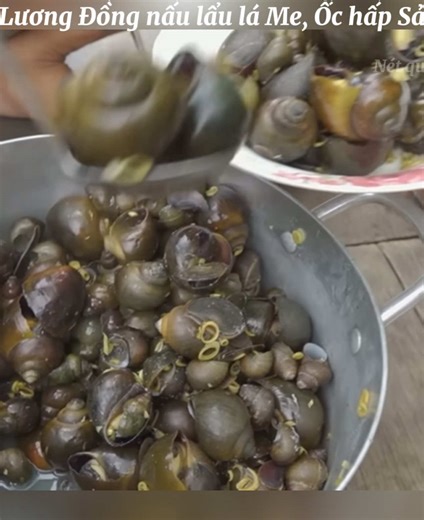 Lương Đồng nấu lẩu lá Me, Ốc hấp Sả. #netque #nauan #monan #monanmientay #monandanda #amthucmientay #xuhuong