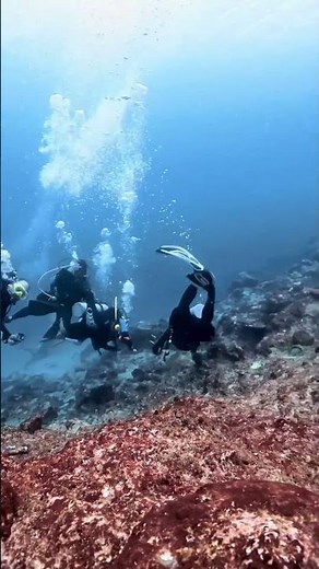 Divers Caught In Extreme Currents