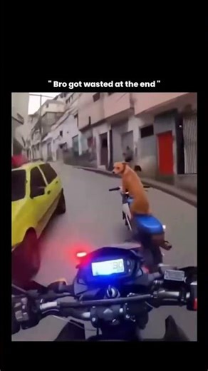 This video shows what looks like a police motorcycle chasing a dog riding another bike through a