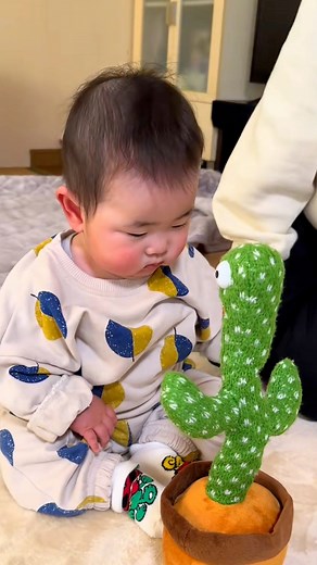 377K views · 6.9K reactions | Get your talking cactus through the link in our bio! Toys BabyFin #baby #toys | Toys BabyFin | Facebook