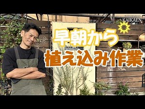 早朝から 植え込みlive 花苗 宿根草 一年草 土作り 耕す 植え方 【おうちでガーデニング】開花園チャンネル