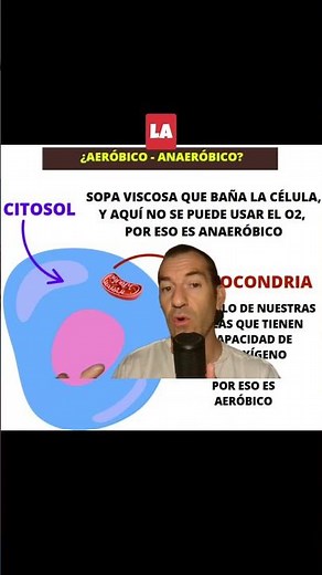 aerobic vs anaerobic