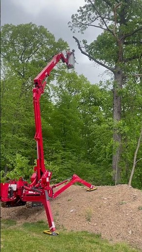 Cutting large tree from cmc spider lift