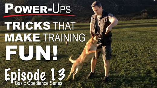 Dog Training Just Got Fun - These Simple Moves Change Everything