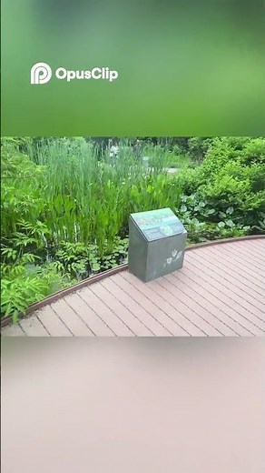 Hidden Trails In Washington DC?!