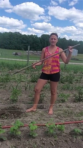 A few minutes of weeding now saves hours later 🌾