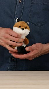 Watch Product Overview Video on Amazon Live