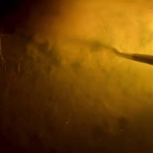 140K views · 1.6K reactions | Can’t beat those nights under the Swamp Eyes ✨ Flounder gigging season is in full swing — no better time than now to gear up and stock the cooler from nature’s grocery store  #OutriggerOutdoors #SwampEye #SwampEyeLights #FlounderGigging #FlounderLights | Outrigger Outdoors | Facebook