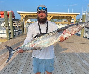 359K views · 2.3K reactions | Massive mercury missile on live bait! | Bearded Brad | Facebook