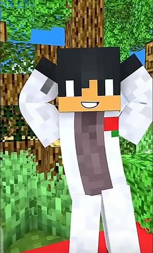 Aphmau and Aaron #minecraft Wedding vapo vapo