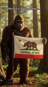 California could soon make Bigfoot official! A new bill would recognize Bigfoot as the state’s legendary cryptid. History, mystery, and folklore all collide — do you think Bigfoot deserves a spot in the record books? #Bigfoot #california #reelspublish | Bigfoot Society