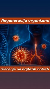 Šta utiče na propadanje i obnavljanje ćelija? 🤔🧬 Naše telo se konstantno u svakoj sekundi obnavlja od hrane koju jedemo. Zato je vrlo važno kakav je kvalitet tih namirnica . 🔁✨ Apoptoza, ćelijska smrt, je prirodan i neophodan proces u životu svake jedinke. ☠️➡️🌱 Nove ćelije nastaju deobom postojećih ćelija. Ključnu ulogu u regeneraciji imaju matične ćelije koje imaju moć da se pretvore u bilo koju ćeliju – krvnu, koštanu, ćelije jetre, kože itd... 🧫🩸🦴 Koža se potpuno obnovi za 27 do 30 da