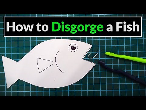 How to Use a Disgorger & Unhook a Fish - Angling for Beginners