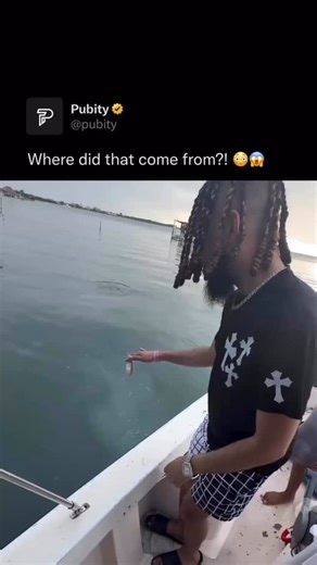 Pubity on Instagram: "🐟 In the quiet rhythm of the water, luring a fish using prey becomes a fascinating display of instinct and strategy. Each movement mimics nature itself, drawing the fish closer as curiosity and hunger take over. It’s a subtle dance where patience matters more than force. This moment highlights the raw intelligence of wildlife and the delicate balance of predator and prey. Watching it unfold feels like witnessing nature’s own silent conversation beneath the surface. Via @je