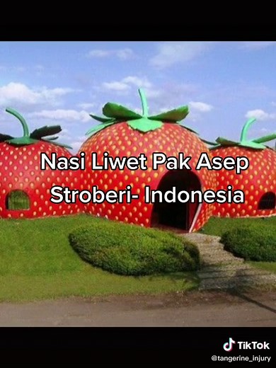 Exploring Unique and Mysterious Locations: Jungle Jacks and Haunted Bridges