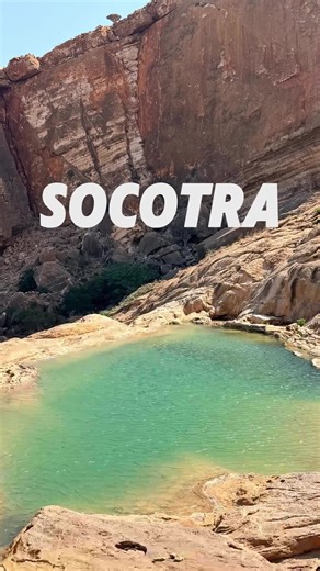 Discover the Alien Beauty of Socotra Island