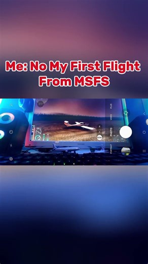 MICROSOFT FLIGHT SIMULATOR