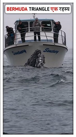 Inside the Bermuda Triangle: Unexplained Disappearances | बरमूडा ट्राएंगल का रहस्य | #Bermudat