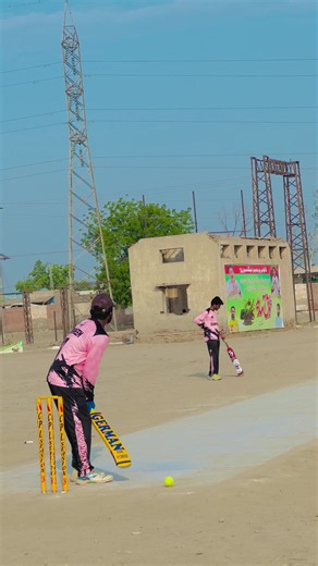 Clean Bowled: Best Cricket Wicket Celebrations and Moments