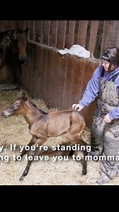 Watch Molly’s FULL BIRTH VIDEO on my YT channel! Link to watch is in the comments! | Katie Van Slyke