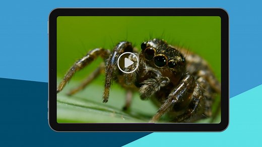 9 Awesome Classroom Video Playlists From BBC Learning Hub