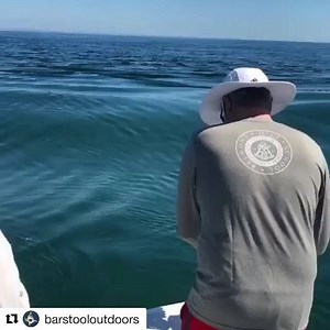 24K views · 171 reactions | Is this the best striped bass video on IG? • #fishingdaily #fishinglife #fishing #stripedbass #saltwaterfishing #sharks | Fishermans Headquarters | Facebook