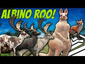 We Got An ALBINO KANGAROO Next To 2 Other Trophies & More On Emerald Coast! Call of the wild