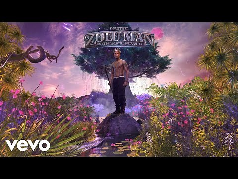 Nasty C - Ababulali (Visualizer)