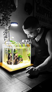 NATURE PSYCHO R A Y E E S on Instagram: "“The Nano Scape” This video is a bit long (around 2.3 minutes), so if you’re really interested, feel free to watch it all to get the full details. Let me first talk about the driftwood I’ve used here. I’ve had it for 6 years now—since I set up my first planted tank back in 2019. I’ve always loved its shape and texture, so I never felt like throwing it away. This same setup was originally in a much smaller tank—you might have seen it in one of my reels or