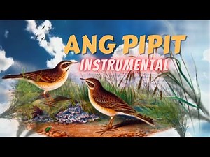 ANG PIPIT (Instrumental) || Philippine Folk Dance Music || Filipino Folk Dance Music 2022