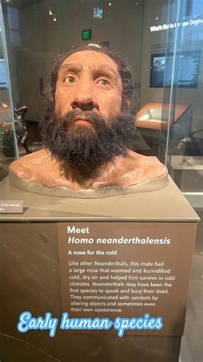 Human origin and early human species