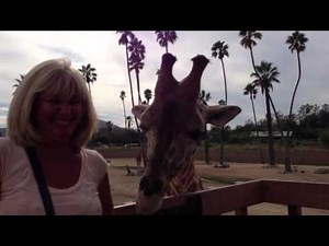 Rhino Stampede at Safari Park