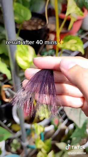 How to Achieve Midnight Blue Hair Color at Home