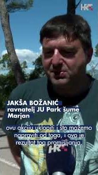Jedinstvena umjetnička priča od uništenih stabala na Marjanu