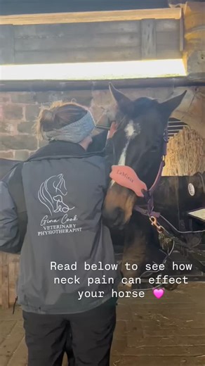  Neck Pain in Horses – More Common Than You Think The neck (cervical...