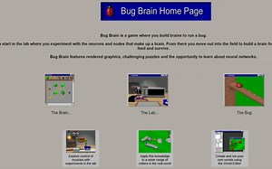 bugbrain演示5-10记录