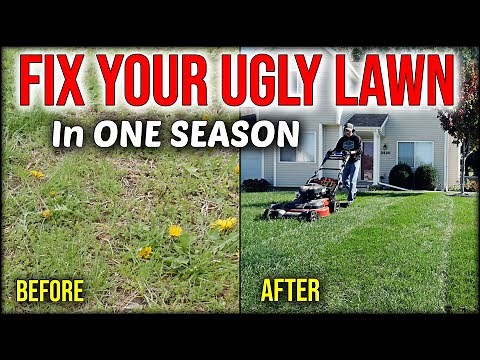 Fix An Ugly Lawn In ONE SEASON Without Seeding Or Overseeding