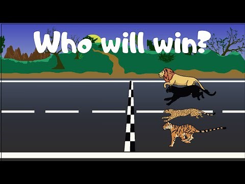 Race OF THE BIG CATS (animation)