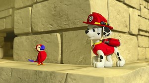 Watch PAW Patrol Season 2 Episode 12: Pups Save the Parrot / Pups Save the Queen Bee - Paramount  United Kingdom