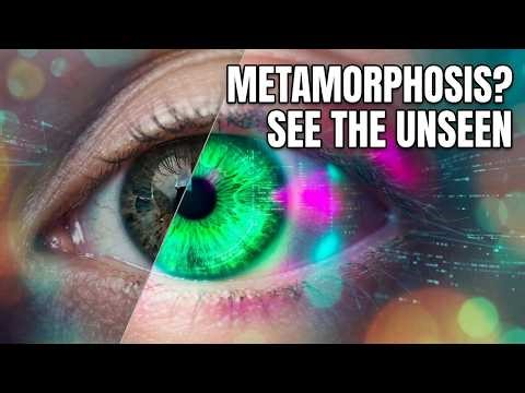 The Matrix Revealed: The Metamorphosis Nobody Sees Coming