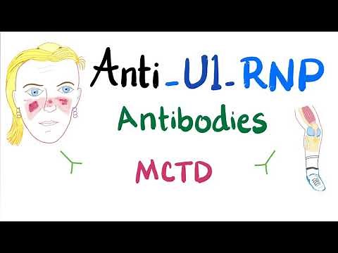Anti-U1-Ribonucleoprotein (Anti-U1-RNP) autoantibodies