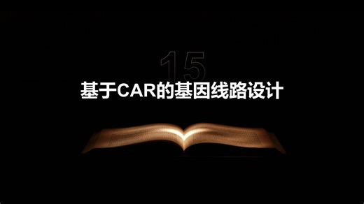 15 基于CAR的基因线路设计（合成生物学）
