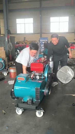 Single-cylinder diesel generator set #generator #backuppower #powersource #genset #machine