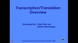 Transcription/Translation Overview