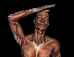 Orthopedic Test - SHOULDER ABDUCTION TEST