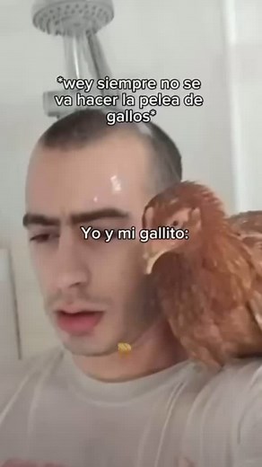 335 reactions · 26 shares | R Music Marketing on Reels | Facebook