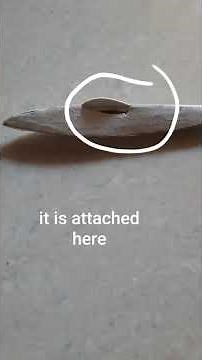 world of warplanes: how to make a ww2 messerschmitt fighter plane using cardboard