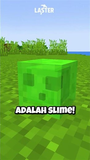 Mob Dengan Organ Paling Sedikit