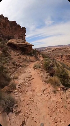 Coyote Shuttle on Reels